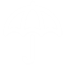 Weather Boost Icon