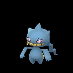 pokemon_name_0354 Shiny