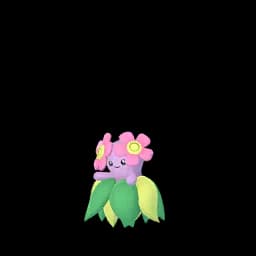 pokemon_name_0182 Shiny