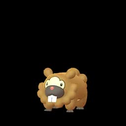 Bidoof