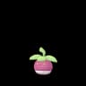 Bounsweet Pokemon Go In-game Sprite