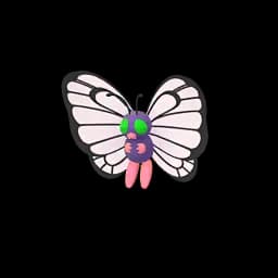 pokemon_name_0012 Shiny