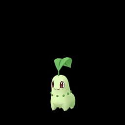 Chikorita
