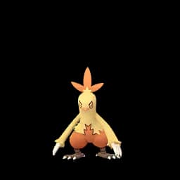pokemon_name_0256 Pokemon Go Image
