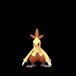 pokemon_name_0256 Shiny
