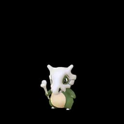 pokemon_name_0104 Shiny