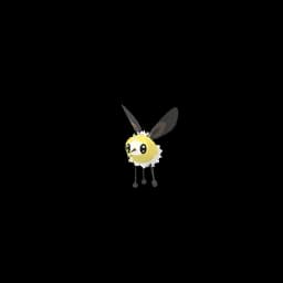 Cutiefly