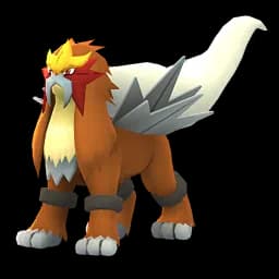 pokemon_name_0244 Pokemon Go Image