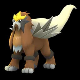 pokemon_name_0244 Shiny