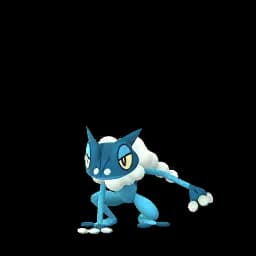 pokemon_name_0657 Pokemon Go Image