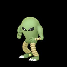 pokemon_name_0106 Shiny