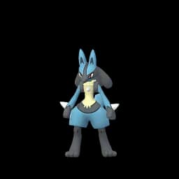 Pokemon 448