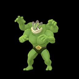 pokemon_name_0068 Shiny