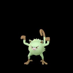 pokemon_name_0056 Shiny