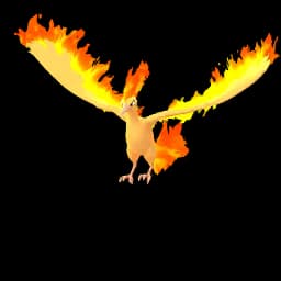 pokemon_name_0146 Pokemon Go Image