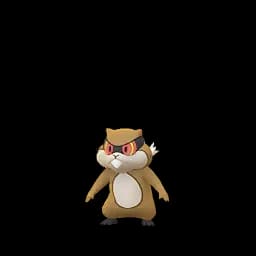 Patrat
