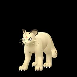Pokemon 53