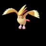 Pidgeot Pokemon Go In-game Sprite