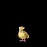Pidgey Pokemon Go In-game Sprite