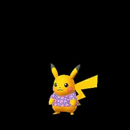 pokemon_name_0025 Shiny