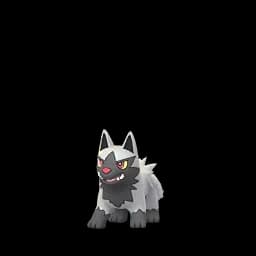 Pokemon 261