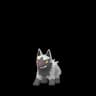 Poochyena Pokemon Go In-game Sprite
