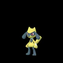pokemon_name_0447 Shiny