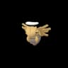 Shedinja Pokemon Go In-game Sprite