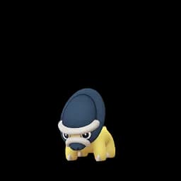pokemon_name_0410 Shiny