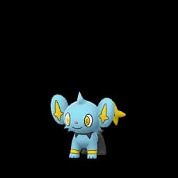 Shinx