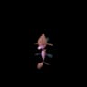 Skrelp Pokemon Go In-game Sprite