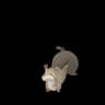Skwovet Pokemon Go In-game Sprite