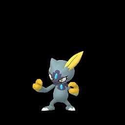 pokemon_name_0215 Shiny