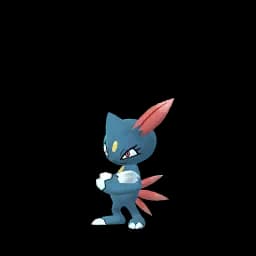 Sneasel