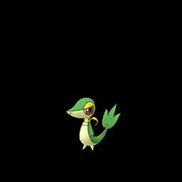 Snivy