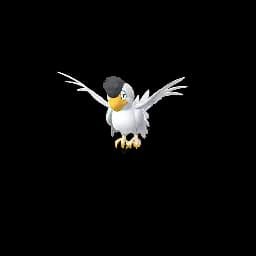 Squawkabilly Pokemon Go In-game Sprite