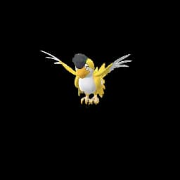 Squawkabilly Pokemon Go In-game Sprite