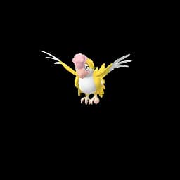 Yellow Plumage Squawkabilly Pokemon Go In-game Shiny Sprite