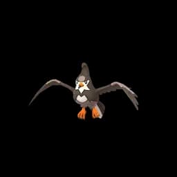 Staravia