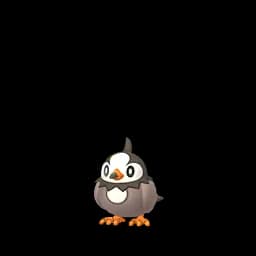 Starly
