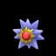 reward