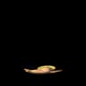Stunfisk Pokemon Go In-game Sprite