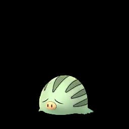 pokemon_name_0220 Shiny
