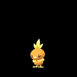 pokemon_name_0255 Pokemon Go Image