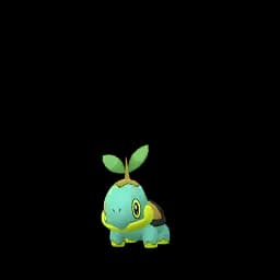 pokemon_name_0387 Shiny