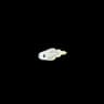 Tynamo Pokemon Go In-game Sprite