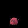 Venipede Pokemon Go In-game Sprite