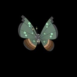 pokemon_name_0666 Pokemon Go Image