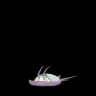 Wimpod Pokemon Go In-game Sprite
