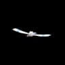 Wingull Pokemon Go In-game Sprite